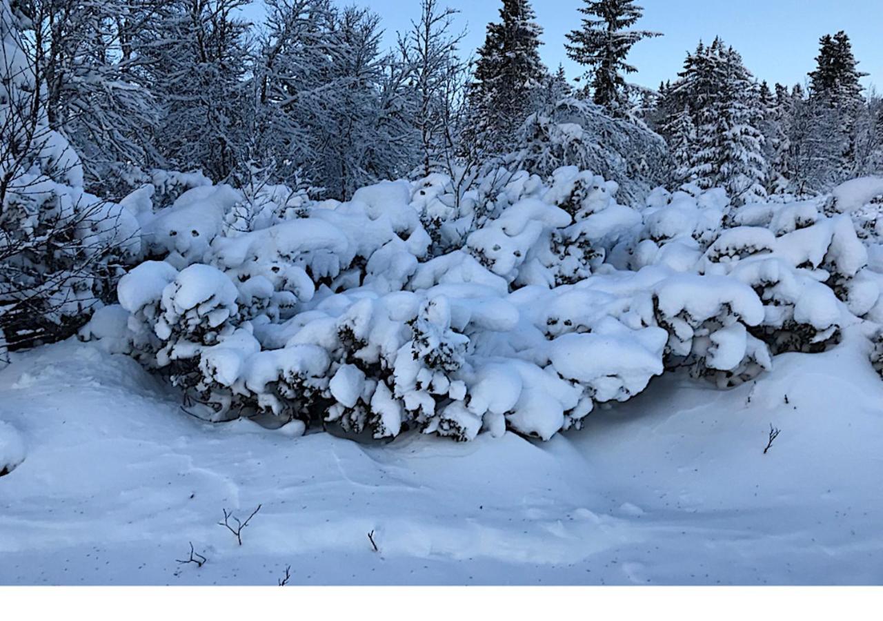 Hornsjo Fjellhotel Hafjell Zewnętrze zdjęcie